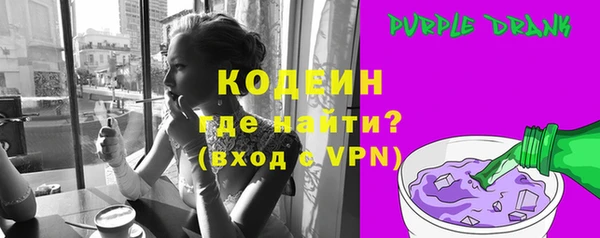 шишки Инта