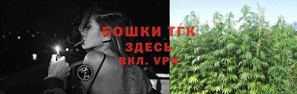 шишки Инта