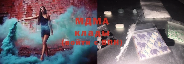 шишки Инта