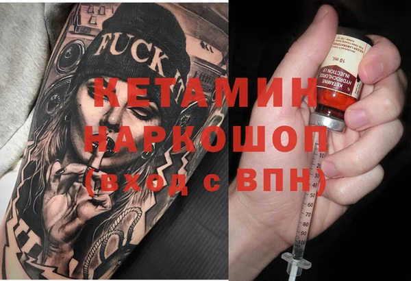 шишки Инта