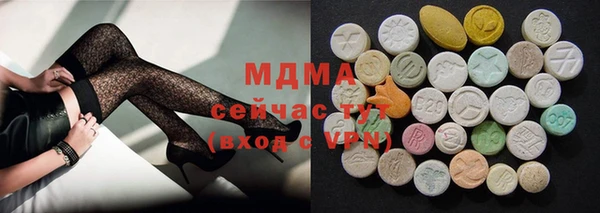 шишки Инта