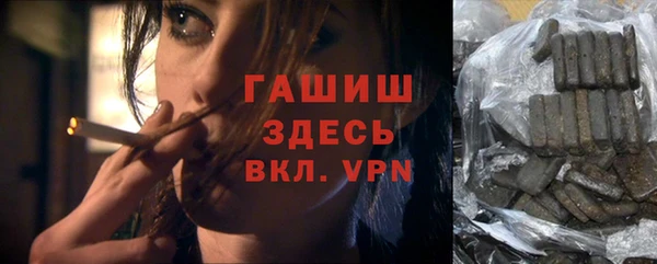 шишки Инта