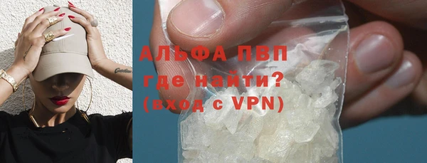 шишки Инта