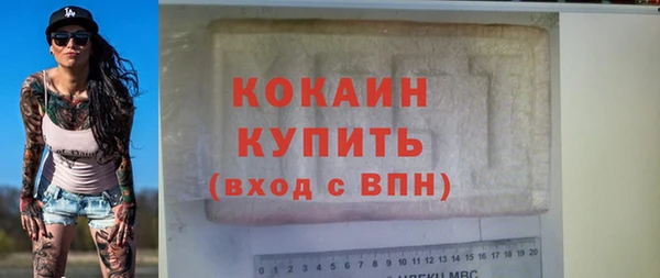 шишки Инта