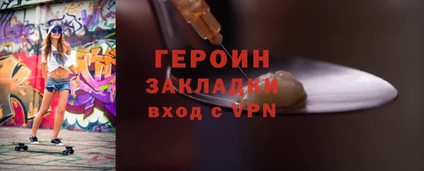 шишки Инта