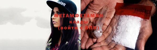 шишки Инта
