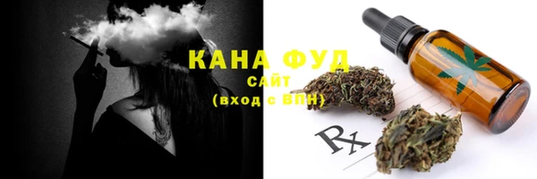 шишки Инта