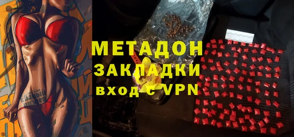 шишки Инта