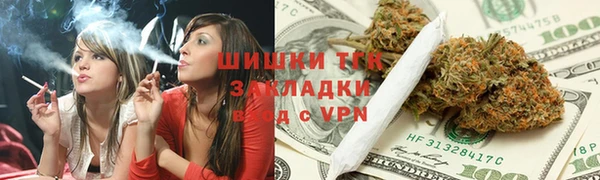 шишки Инта