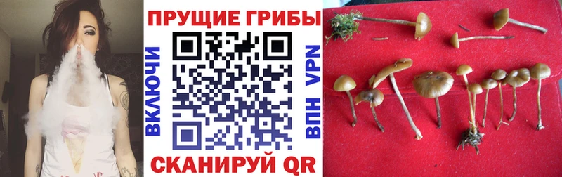 Псилоцибиновые грибы ЛСД  Купить где  Нижний Ломов 
